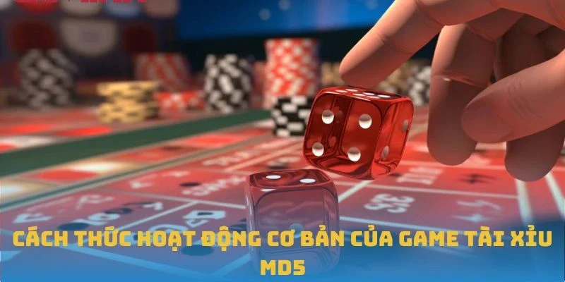 Cách thức hoạt động cơ bản của game Tài Xỉu MD5