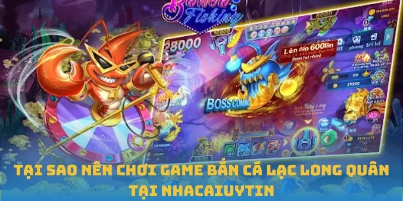 Tại sao nên chơi game Bắn Cá Lạc Long Quân tại Nhacaiuytin