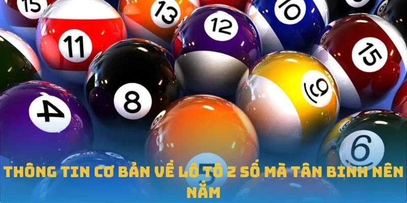 Thông tin cơ bản về lô tô 2 số mà tân binh nên nắm