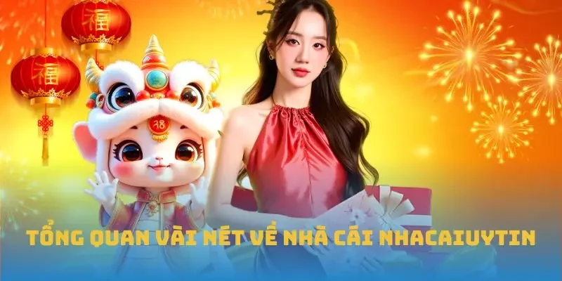 Tổng quan vài nét về nhà cái Nhacaiuytin