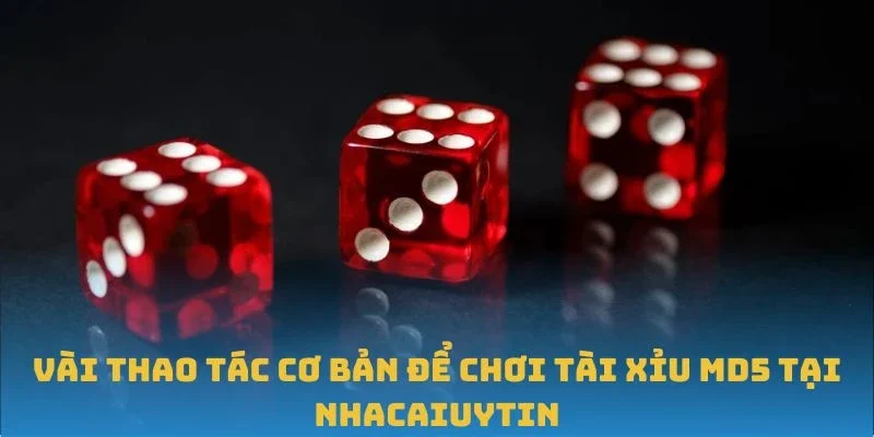 Vài thao tác cơ bản để chơi Tài Xỉu MD5 tại Nhacaiuytin